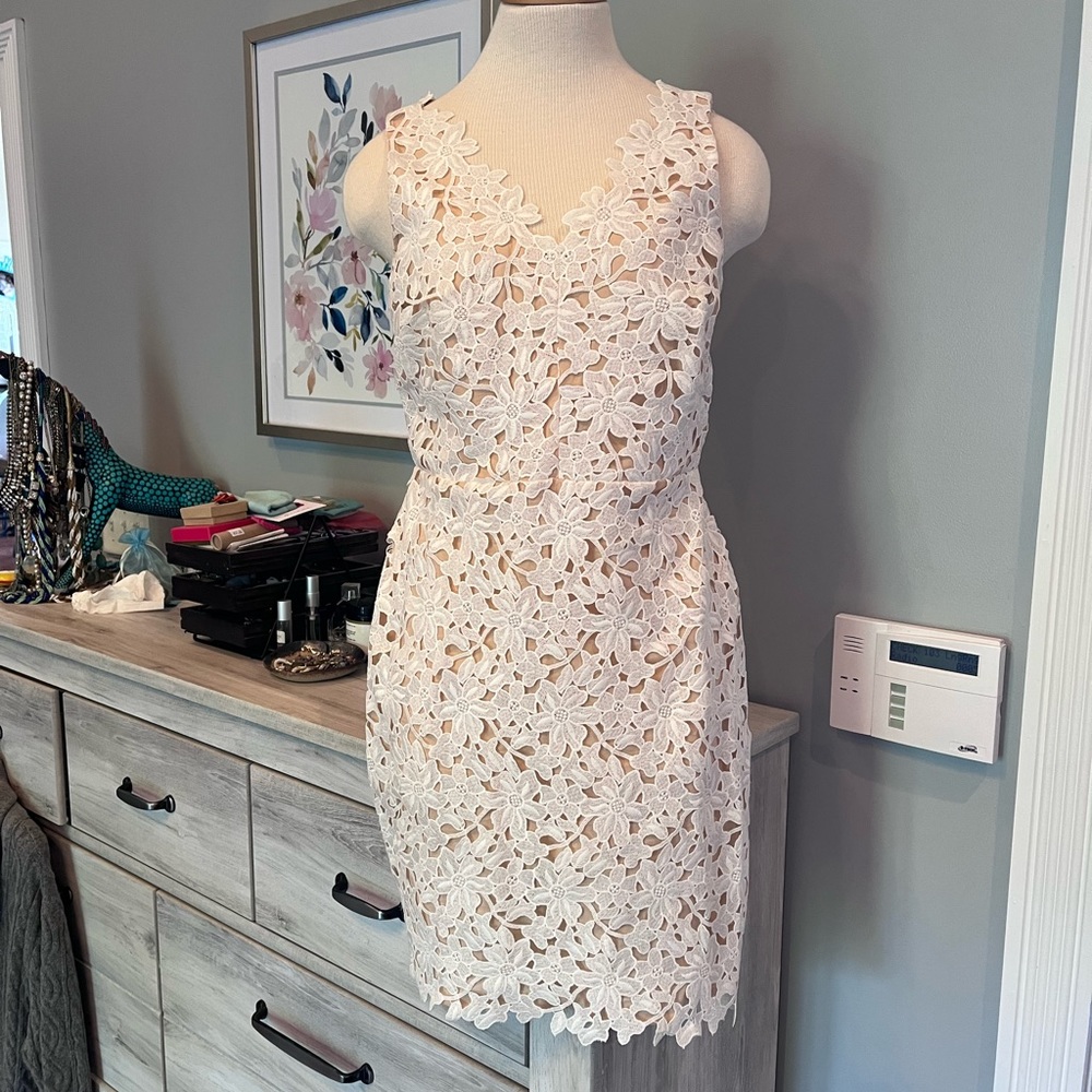 Loft lace dress